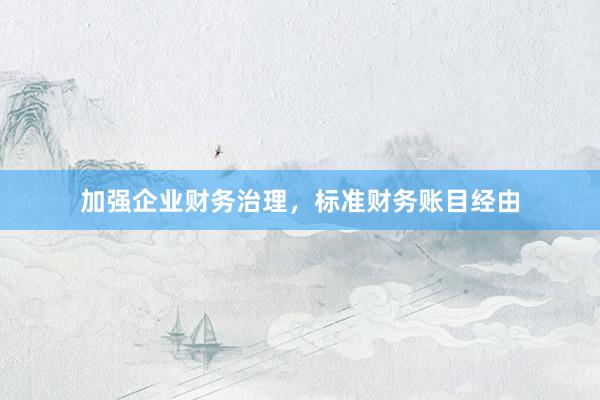 加强企业财务治理，标准财务账目经由