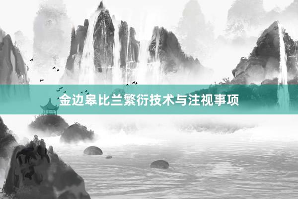 金边皋比兰繁衍技术与注视事项