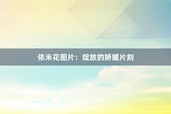 依米花图片：绽放的娇媚片刻