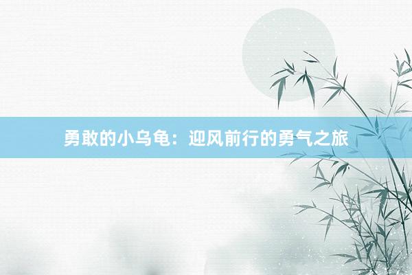 勇敢的小乌龟:迎风前行的勇气之旅